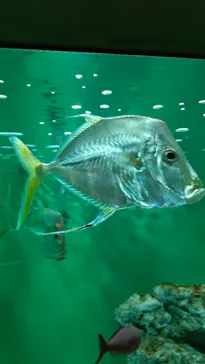 葛西臨海水族園に投稿された画像（2026/8/20）