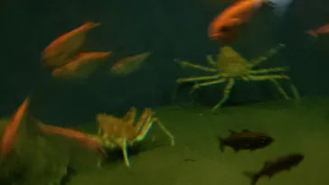 葛西臨海水族園に投稿された画像（2026/8/20）
