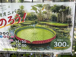 熱川バナナワニ園に投稿された画像（2026/8/20）