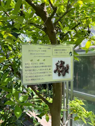 熱川バナナワニ園に投稿された画像（2026/8/20）