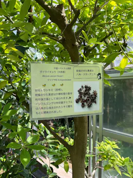 熱川バナナワニ園に投稿された画像（2026/8/20）