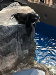 アクアワールド茨城県大洗水族館に投稿された画像（2026/8/21）