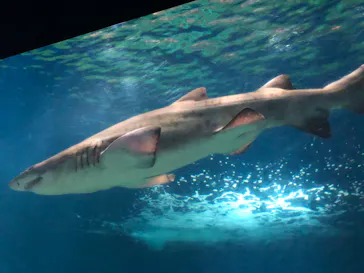 アクアワールド茨城県大洗水族館に投稿された画像（2026/8/21）