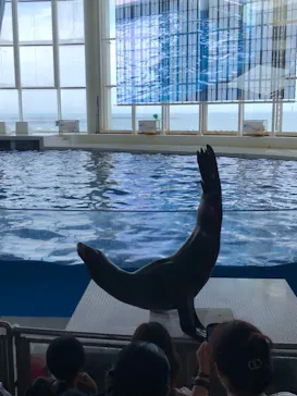 アクアワールド茨城県大洗水族館に投稿された画像（2026/8/21）