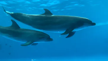 アクアワールド茨城県大洗水族館に投稿された画像（2026/8/21）