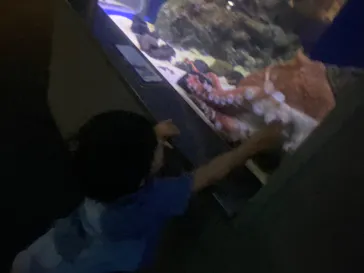 新江ノ島水族館に投稿された画像（2026/8/21）
