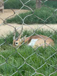 東武動物公園に投稿された画像（2026/8/21）