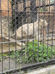 東武動物公園に投稿された画像（2026/8/21）