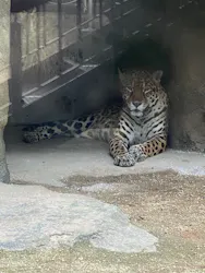 東武動物公園に投稿された画像（2026/8/21）