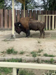 東武動物公園に投稿された画像（2026/8/21）