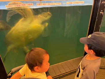 越前松島水族館に投稿された画像（2026/8/21）