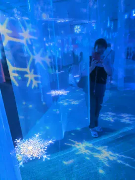 オーロラと森のものがたり展 　～ヒュッゲと童話がおしえてくれたもの～に投稿された画像（2026/8/21）