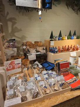 オーロラと森のものがたり展 　～ヒュッゲと童話がおしえてくれたもの～に投稿された画像（2026/8/21）