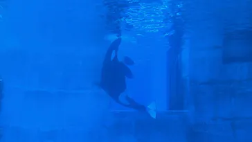 名古屋港水族館に投稿された画像（2026/8/21）