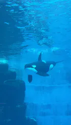 名古屋港水族館に投稿された画像（2026/8/21）