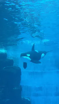 名古屋港水族館に投稿された画像（2026/8/21）