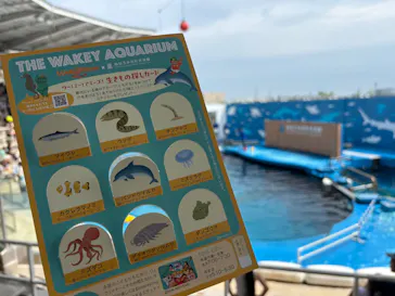 仙台うみの杜水族館に投稿された画像（2026/8/21）