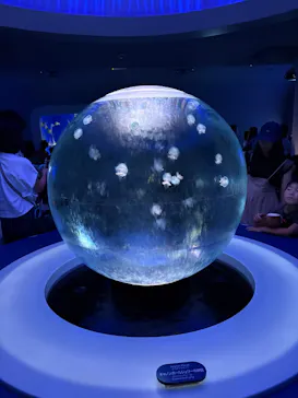 新江ノ島水族館に投稿された画像（2026/8/21）