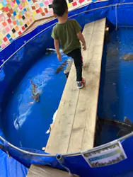 いきもの探検隊湘南に投稿された画像（2026/8/21）
