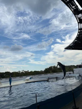京都水族館に投稿された画像（2026/8/21）