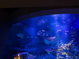 すみだ水族館に投稿された画像（2026/8/21）