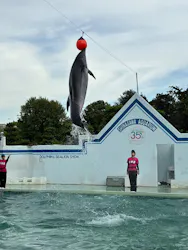 しながわ水族館に投稿された画像（2026/8/21）