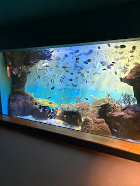 みやじマリン宮島水族館に投稿された画像（2026/8/21）