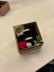 りんぐ工房浅草に投稿された画像（2026/8/21）