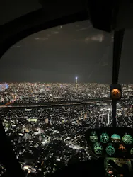 東京夜景ヘリコプターに投稿された画像（2026/8/21）