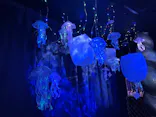 ひらかたパークに投稿された画像（2026/8/21）