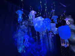 ひらかたパークに投稿された画像（2026/8/21）