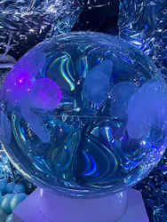 ひらかたパークに投稿された画像（2026/8/21）