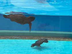 名古屋港水族館に投稿された画像（2026/8/21）