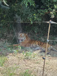 秋吉台自然動物公園 サファリランドに投稿された画像（2026/8/21）