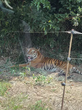 秋吉台自然動物公園 サファリランドに投稿された画像（2026/8/21）