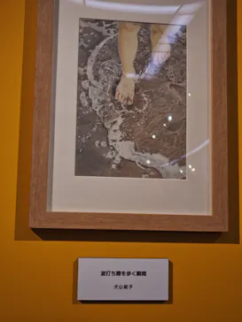 プレバト才能アリ展　芸能人の名作と劇的添削2012‐2026に投稿された画像（2026/8/21）