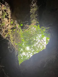 CAVE OKINAWAに投稿された画像（2026/8/21）
