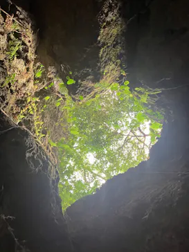 CAVE OKINAWAに投稿された画像（2026/8/21）