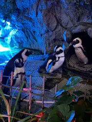 サンシャイン水族館に投稿された画像（2026/8/21）