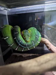 神戸みなと温泉 蓮×AQUARIUM × ART　atoaに投稿された画像（2026/8/21）