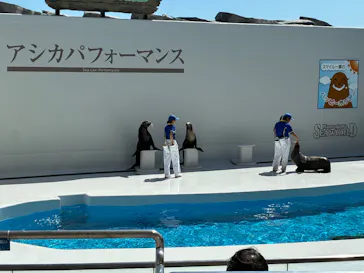 鴨川シーワールドに投稿された画像（2026/8/21）