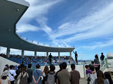 鴨川シーワールドに投稿された画像（2026/8/21）