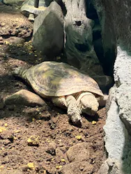 サンシャイン水族館に投稿された画像（2026/8/21）