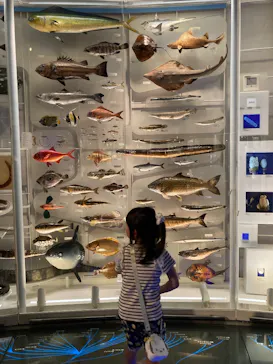 特別展「いきもの超ワールド展　国立科学博物館×ダーウィンが来た！」（国立科学博物館）に投稿された画像（2026/8/21）