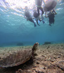 OCEAN LIFE 宮古島に投稿された画像（2026/8/21）