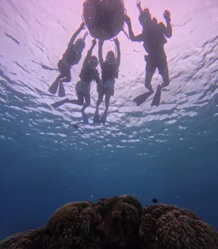 OCEAN LIFE 宮古島に投稿された画像（2026/8/21）