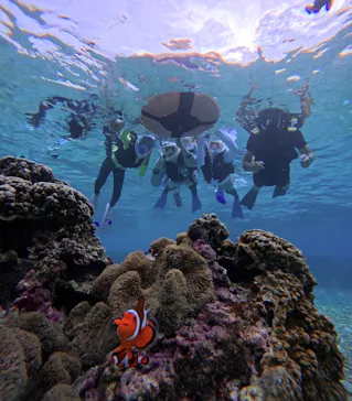OCEAN LIFE 宮古島に投稿された画像（2026/8/21）