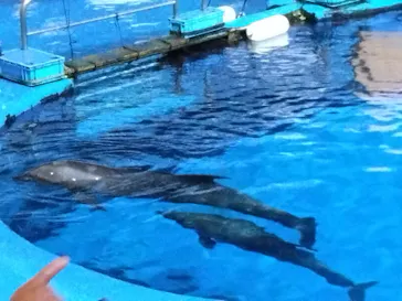 仙台うみの杜水族館に投稿された画像（2026/8/21）