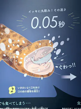 京都水族館に投稿された画像（2026/8/21）