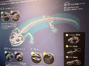 京都水族館に投稿された画像（2026/8/21）